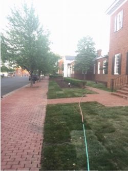 Sod Installation after